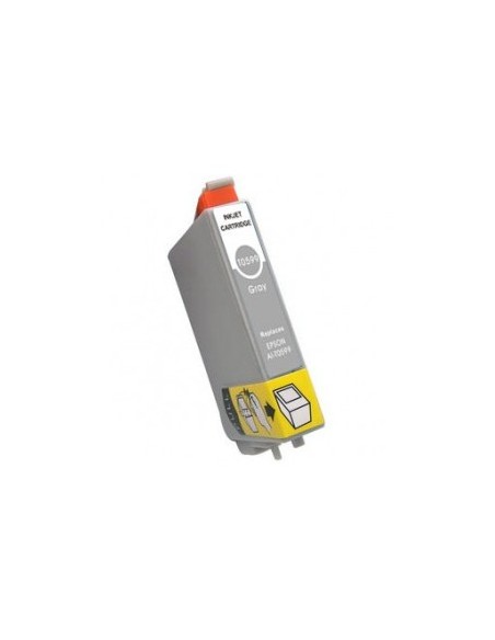 T0599 EPSON GRIS CLARO EPSON STYLUS PHOTO R2400	