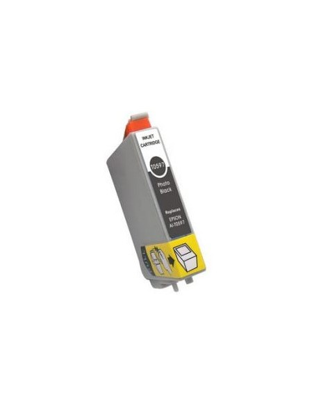 T0597 EPSON GRIS  EPSON STYLUS PHOTO R2400