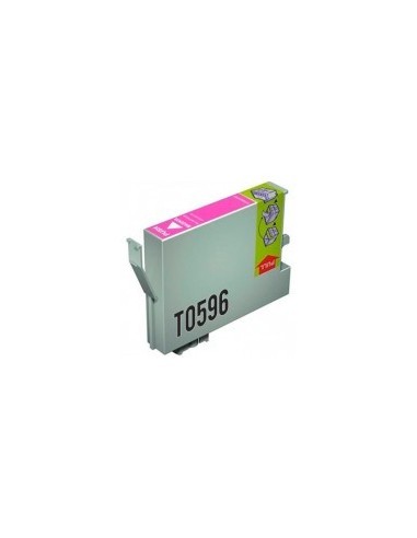 T0599 EPSON GRIS CLARO EPSON STYLUS PHOTO R2400	