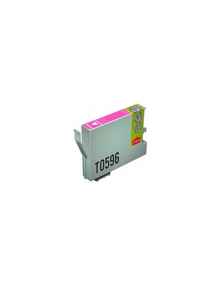 T0599 EPSON GRIS CLARO EPSON STYLUS PHOTO R2400	