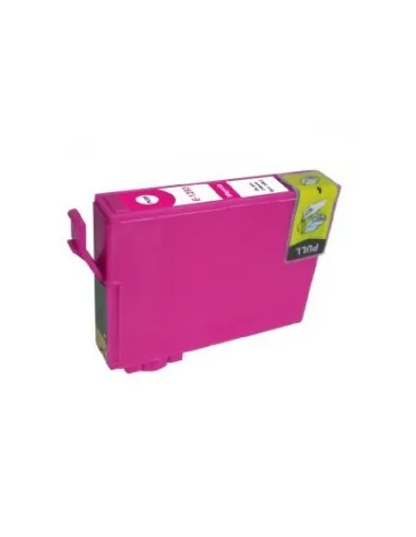 T0599 EPSON GRIS CLARO EPSON STYLUS PHOTO R2400	