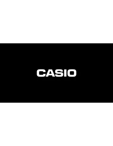 reloj Casio clásico A178WA-1 plateado