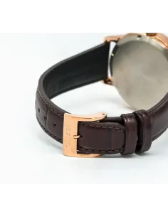 Citizen Ecodrive BU4032-11A JDM 41mm 100m WR leather band men's watch 2