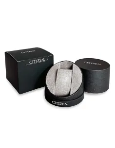 Citizen Calibre 8700 BL8160-58L 42mm 100m WR Calendario Perpetuo movimiento Eco-drive 2