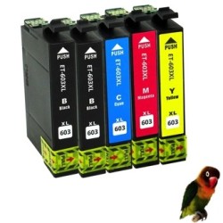 5 Tintas compatibles con 603 XL Epson 603XL Expression Home XP-2100 XP-2105 XP-3100 2