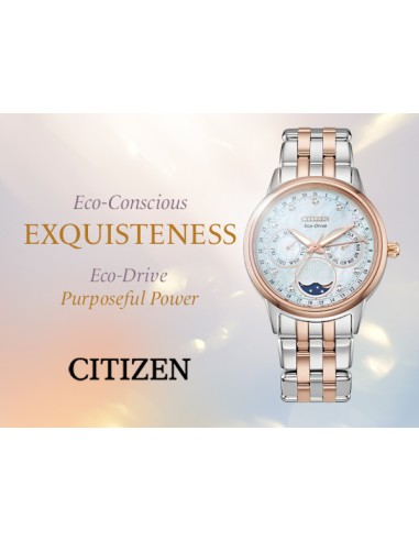 reloj mujer Citizen CalendrierFD0006-56D37mm Chronograph Diamond Eco-Drive
