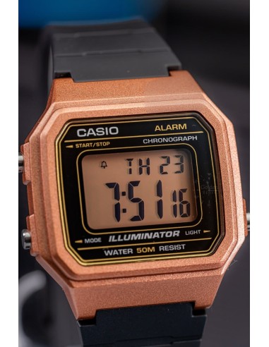 RELOJ CASIO W-217HM-5AV COLLECTION RETRO
