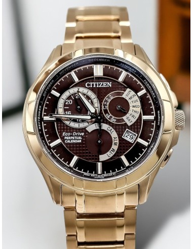 reloj solar hombre Citizen Eco-Drive Perpetual Calendar  BL8163-50X 42mm 100m movimiento Eco-Drive