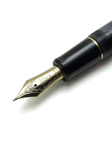 Pilot Custom 823 FKK-3MRP-TB-M JDM - Smoke (Negro Transparente)