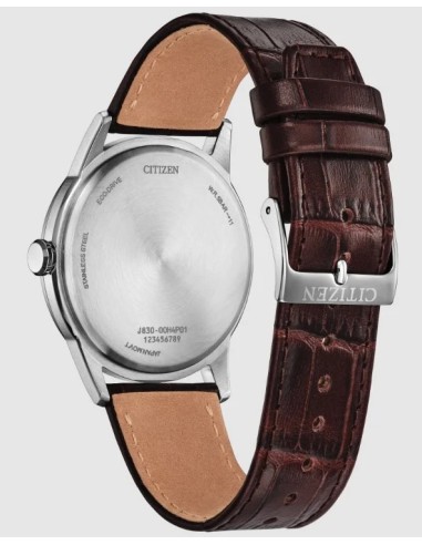 solar hombre Citizen Roland Ecodrive AW2110-14Z 41mm  50 WR correa de cuero