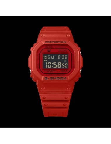 Casio G-Shock  DW-5600RRB-4JF JDM  48.9 × 42.8 × 13.4 mm 200m