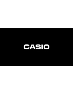 Reloj CASIO mujer analogico LRW-200H-4B 2