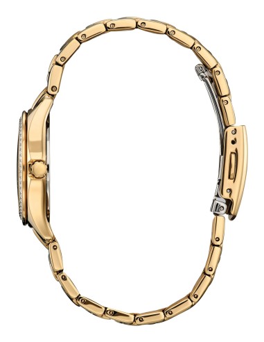 mujer solar Citizen Eco-Drive Crystal  FE1147-79P 30mm 50m WR 73grs