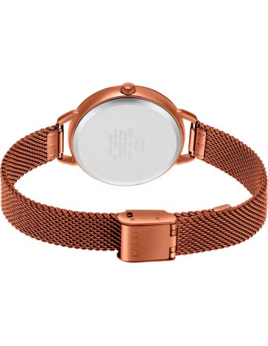 Reloj Casio Para Mujer LTP-E413MR-9A Analógico correa de Malla Milanesa